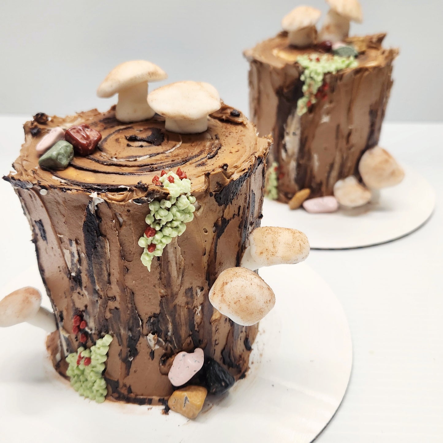 The Tree Stump