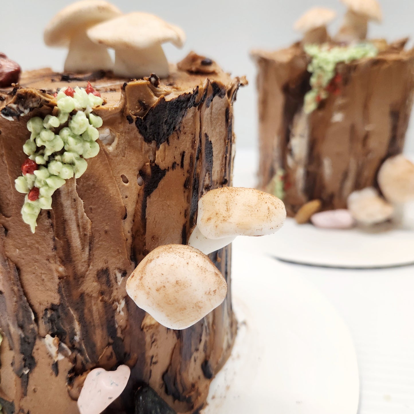The Tree Stump