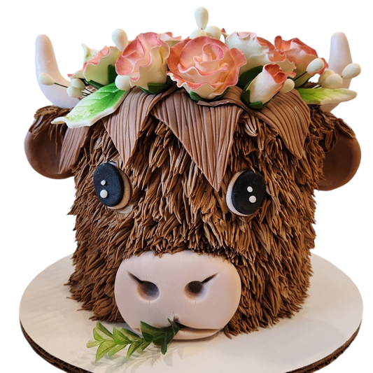 Highland cow cake